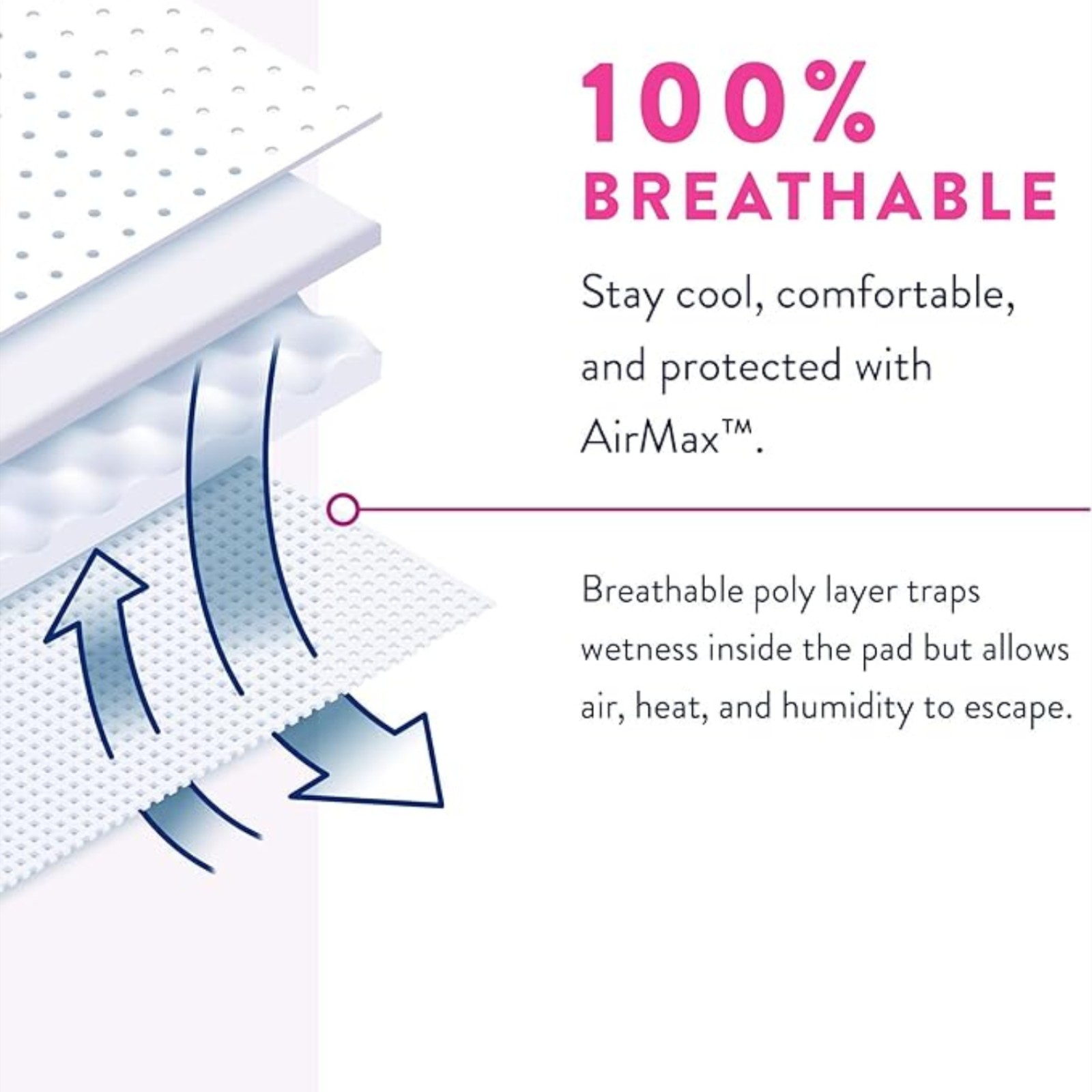 Prevail Proven | X-Large Pull-Up | Women's Incontinence Protective Underwear | Maximum Absorbency | 64 Count