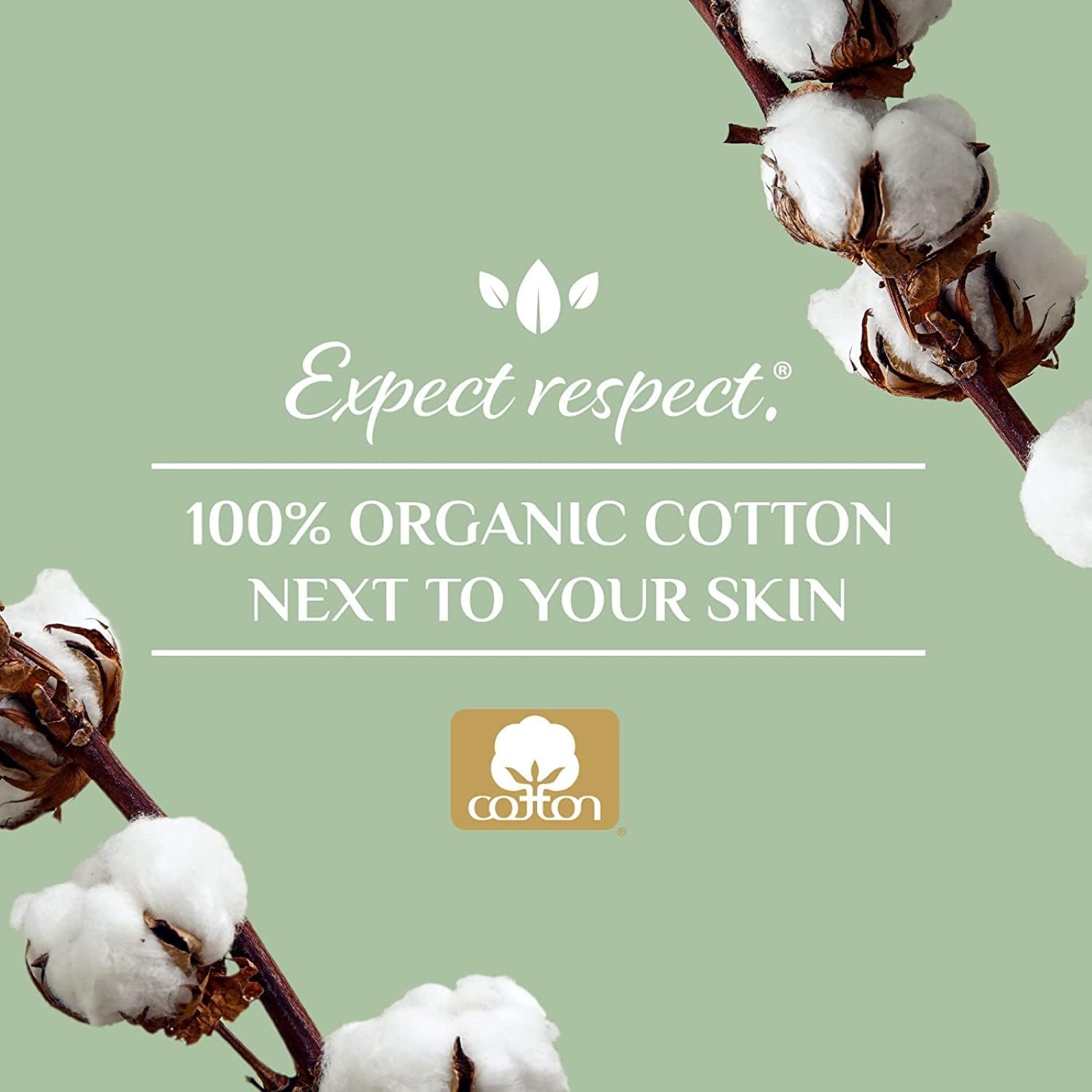 Organyc - 100% Organic Cotton Inside and Out Incontinence Pads for Bladder Leaks - Certified Odor Control, FSA/HSA Eligible, Moderate Flow, Regular Absorbency, 20 Count