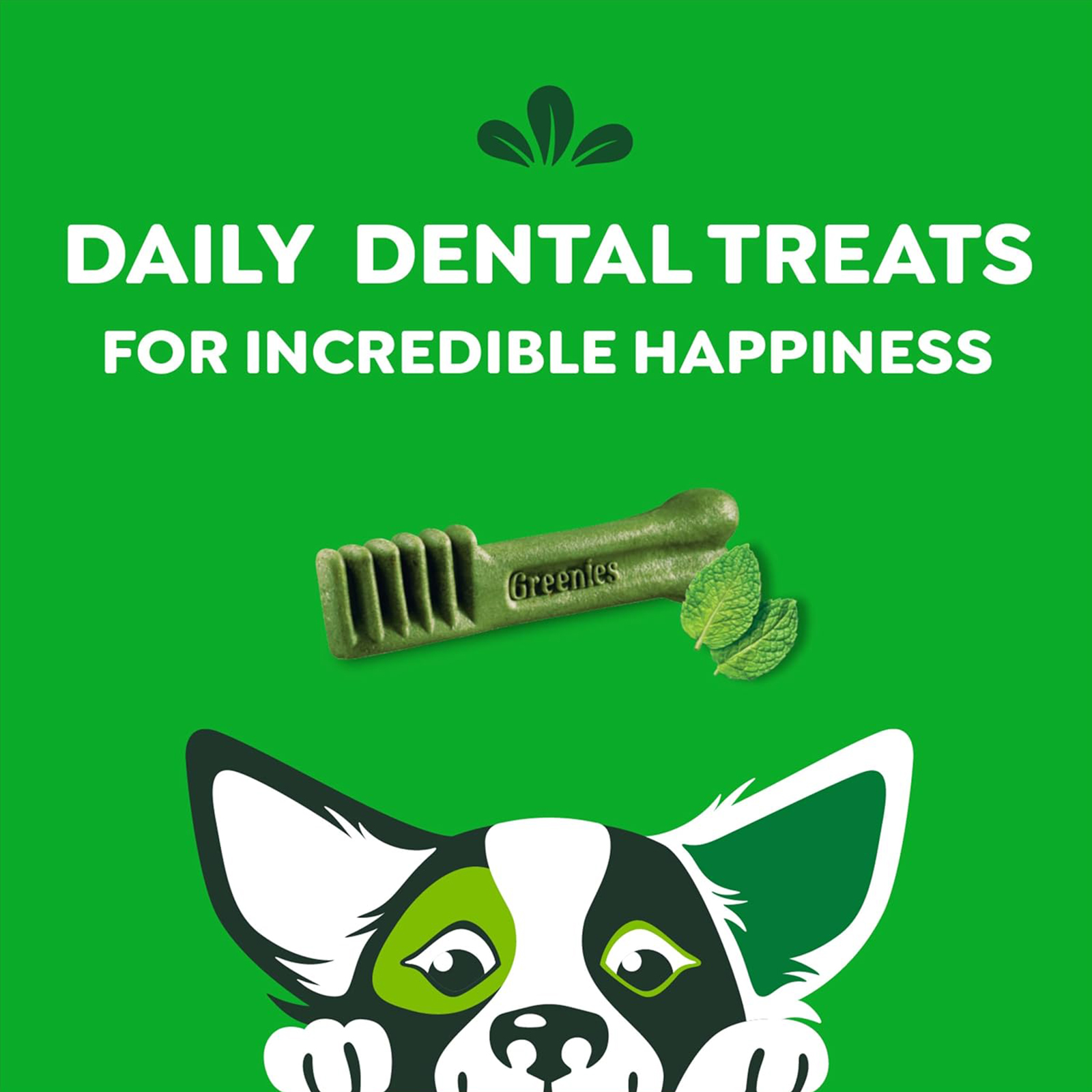 Greenies Petite Dental Dog Treats, Fresh Flavor, 12 oz. Pouch (20 Treats)