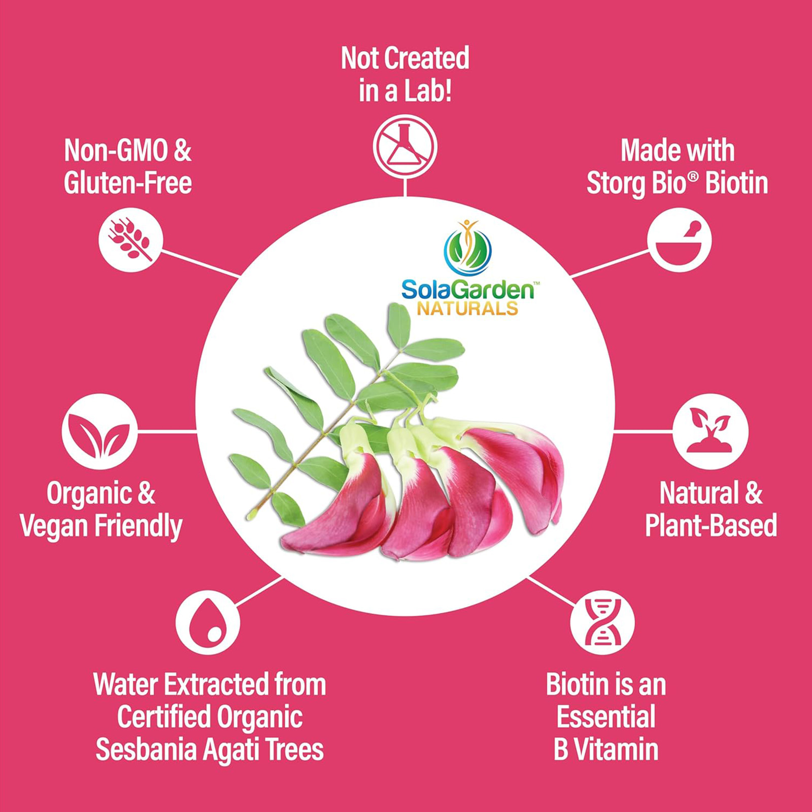 Whole Food Biotin Supplement, May Support Hair, Skin and Nails. 60 Capsules.