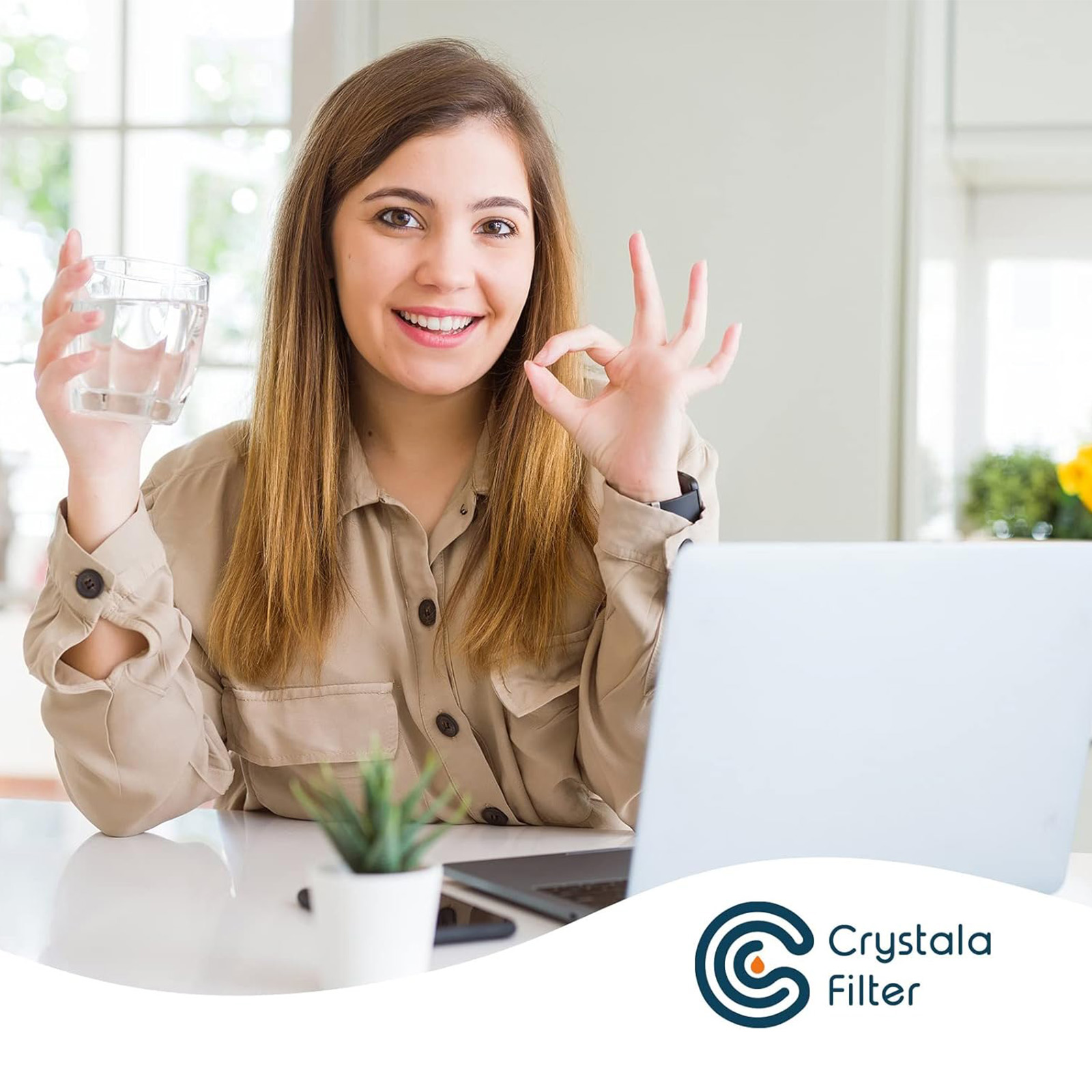 Crystala Filters LT800P Refrigerator Water Filter (Pack of 4)