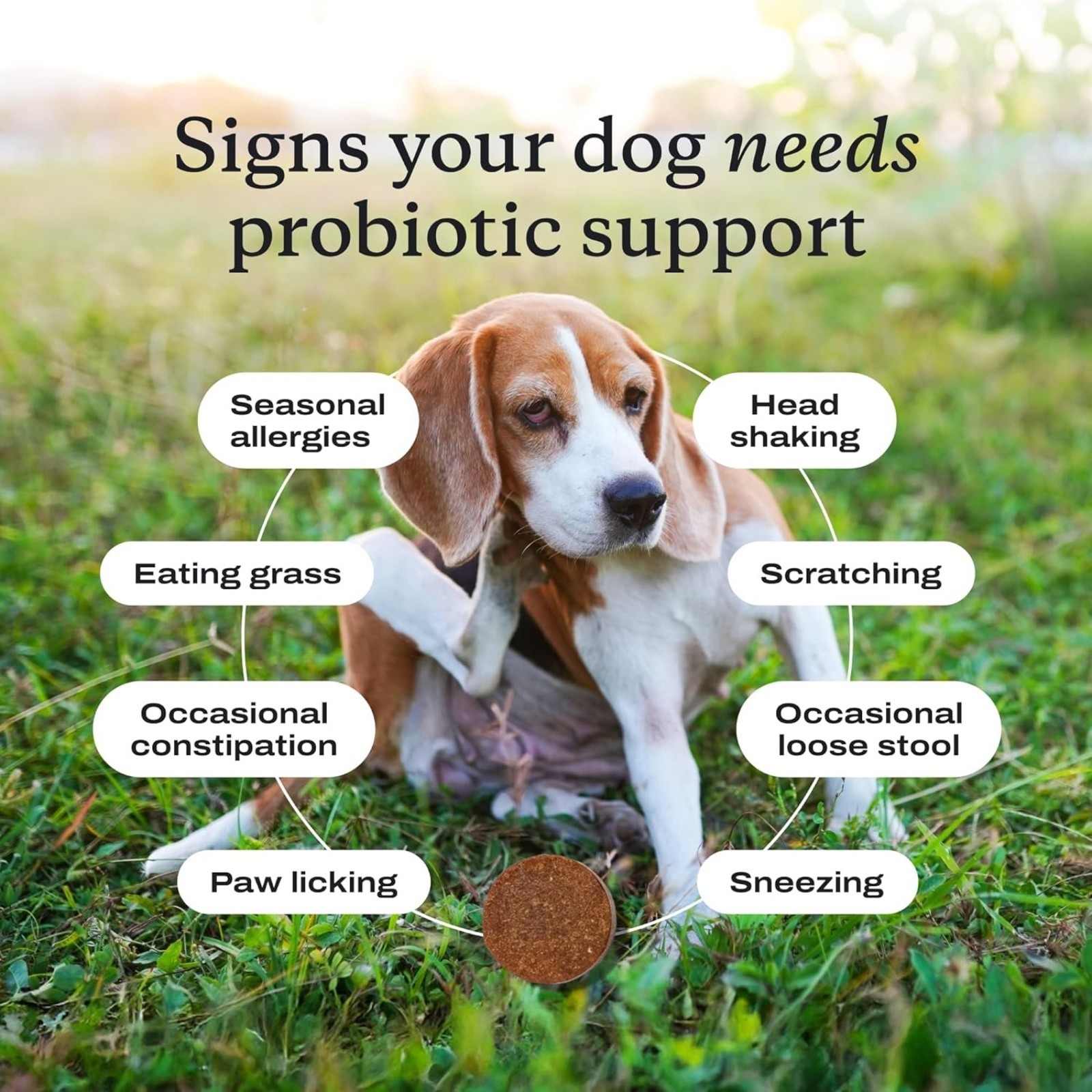 PetLab Co. Probiotics for Dogs, Support Gut Health, Occasional Diarrhea, Digestive Health & Seasonal Allergies - Salmon Flavor - Packaging May Vary - 30 Soft Chews