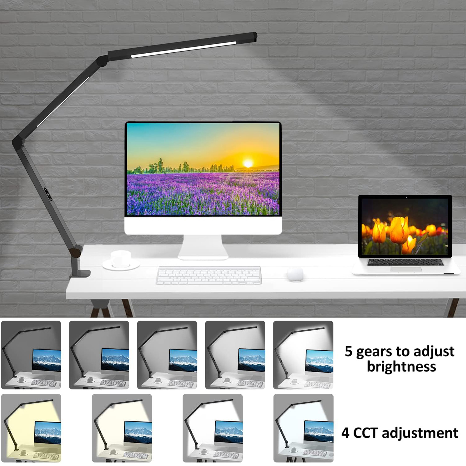 Micomlan LED Desk Lamp with Clamp, Architect Desk Lamp with Dual Light