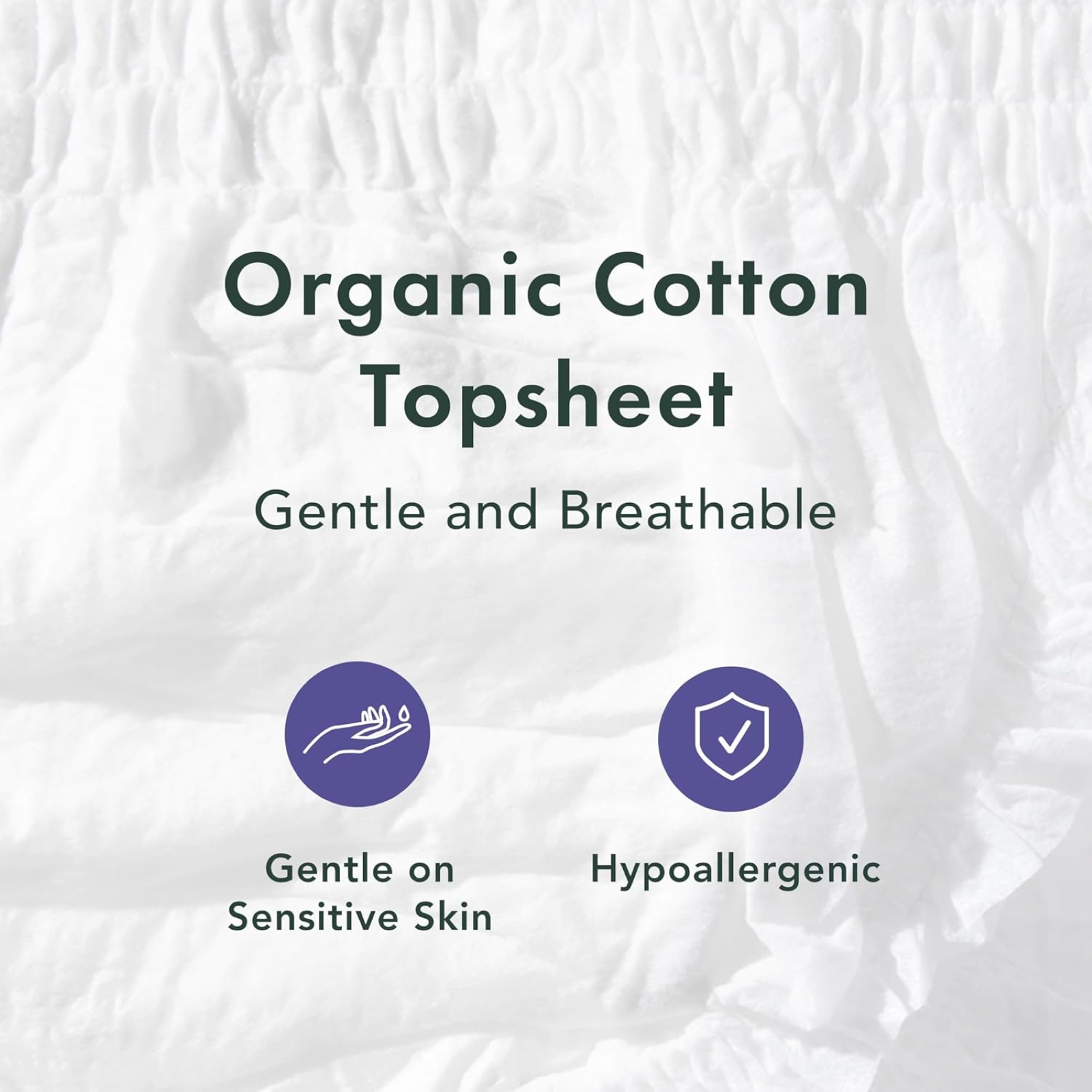 Rael Disposable Underwear for Women, Organic Cotton Cover - Incontinence Pads, Postpartum Essentials, Disposable Underwear, Unscented, Maximum Coverage (Size S-M, 12 Count)