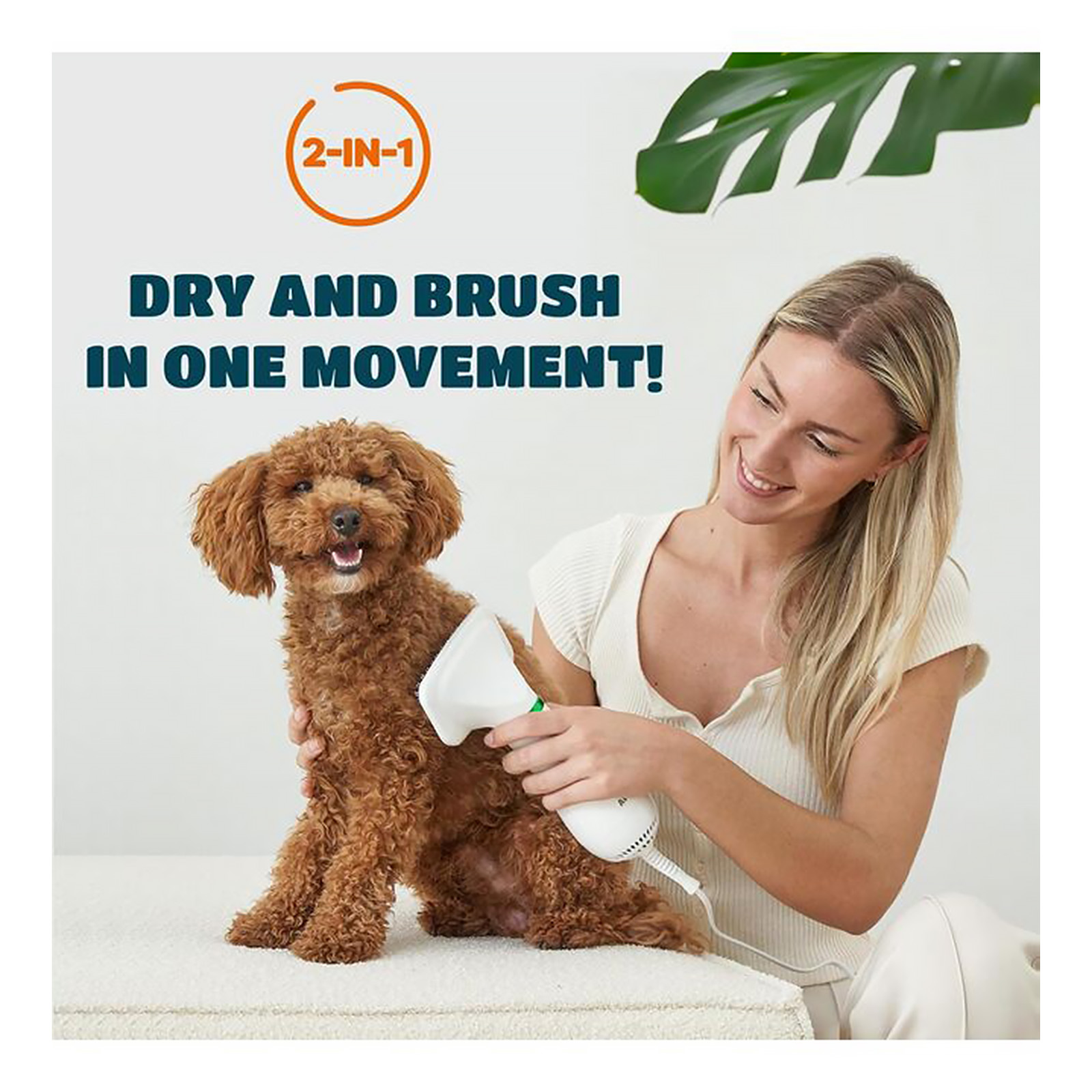 2-in-1 Dog Hair Dryer with Slicker Brush for Small-Sized Dogs and Cats | Pet Hair Dryer | Dog Blow Dryer | 300 Watts, 75-85 dB, Adjustable Temperature, Overheat Protection
