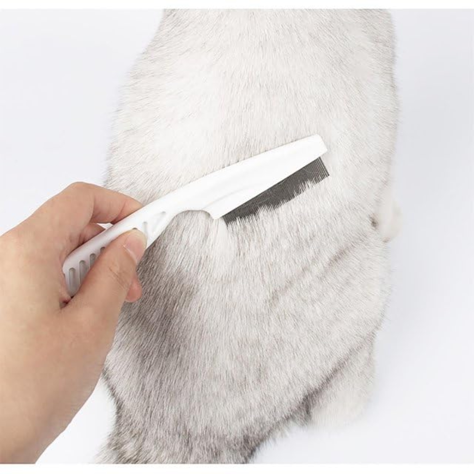 White Flea Comb for Dogs and Cats,Pet Flea Comb,Multifunctional Pet Hair Comb Flea and Tear Stain Removal, Pack of 5
