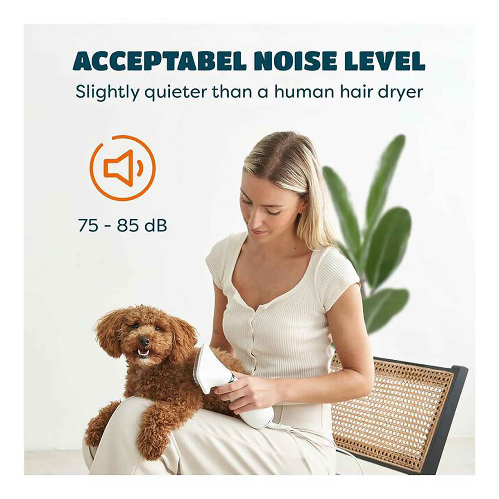 2-in-1 Dog Hair Dryer with Slicker Brush for Small-Sized Dogs and Cats | Pet Hair Dryer | Dog Blow Dryer | 300 Watts, 75-85 dB, Adjustable Temperature, Overheat Protection