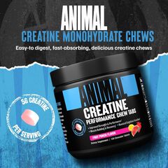 Animal Creatine Chews Tablets - Enhanced Creatine Monohydrate with AstraGin to Improve Absorption, Sea Salt for Added Pumps, Delicious and Convenient Chewable Tablets - Fruit Punch