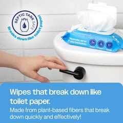 Wipemate Ultra Flushable Butt Wipes - Soothing Vitamin E & Aloe - Coconut Scent - 6 Premium Flip Top Packs - 42 Wipes Per Pack - 252 count