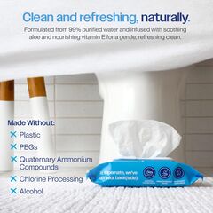 Wipemate Ultra Flushable Butt Wipes - Soothing Vitamin E & Aloe - Coconut Scent - 6 Premium Flip Top Packs - 42 Wipes Per Pack - 252 count
