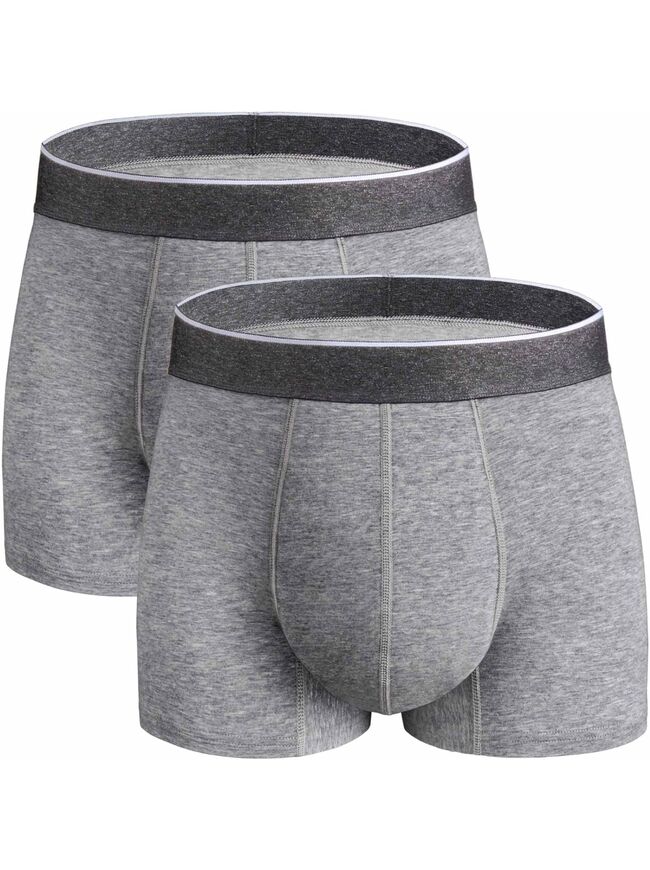 Mens Incontinence Underwear Washable, 2.3 oz Leak Proof Absorbent Odor Neutralization Briefs for Bladder Leak 2 Pack(Gray, XL)