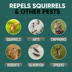 JL Rodent Block Squirrel Repellent Pouch 6-Pack - Powerful Against Mice, Racoons, Chipmunks, Snakes, Mosquitos, Ants. All Natural Ingredients, Refillable Mesh Bag & Carabiner for Hanging
