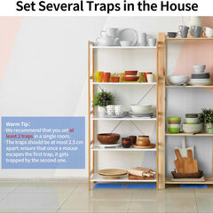 LULUCATCH Super Glue Traps 20 Pack for Mice & Snakes, Larger, Heavier Sticky Traps with Non-Toxic Glue. Sticky Mouse Traps Indoor, Easy to Set, Pet Safe Pest Control