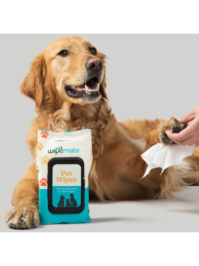 Wipemate Gentle Hypoallergenic Pet Grooming Wipes 400 Ct Unscented (Small/Med Size Pets)