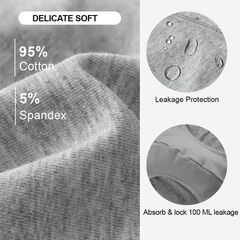 BATTEWA Mens Incontinence Underwear 2-Pack, 100ML Leak Proof Boxer Brief Underwear for Men (2X-Large, Gray)