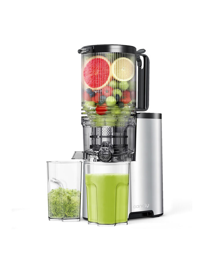 Cold Press Juicer, 5.4" Wide Feed Chute Juicers with 350w Power Motor, Slow Masticating Juicer Machine with High Juice Yield for Whole Vegetables & Fruits, Easy to Clean, Classic Silver