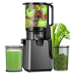 YPONE Juicer Machines with 5.8" Large Feed Chute, Cold Press Juicer For Whole Vegetables and Fruits, 400W Professional Slow Masticating juicer Easy to Clean for Batch Juicing (Titanium Gray)