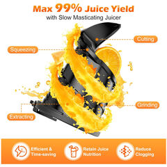 YPONE Juicer Machines with 5.8" Large Feed Chute, Cold Press Juicer For Whole Vegetables and Fruits, 400W Professional Slow Masticating juicer Easy to Clean for Batch Juicing (Titanium Gray)