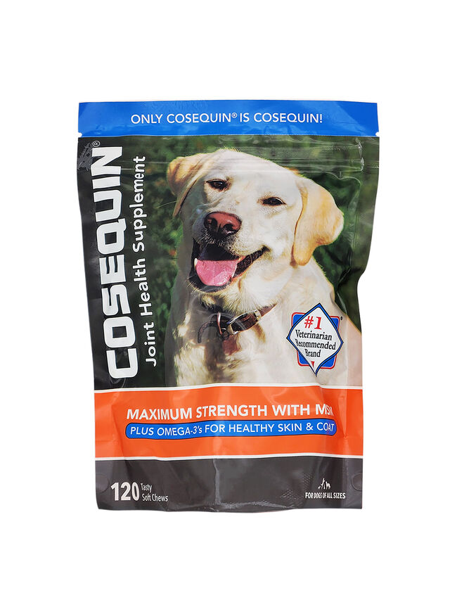 Nutramax Cosequin Joint Health Supplement for Dogs - with Glucosamine, Chondroitin, MSM, and Omega-3s, 120 Soft Chews