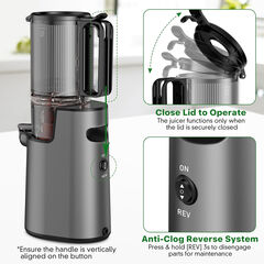 LQZ Cold Press Juicer, Masticating Juicer with 5.4" Wide Feed Chute, 350w Slow Juicer Machines Fit Whole Vegetables and Fruits with High Juice Yield, Easy to Clean (Black)
