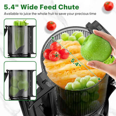 LQZ Cold Press Juicer, Masticating Juicer with 5.4" Wide Feed Chute, 350w Slow Juicer Machines Fit Whole Vegetables and Fruits with High Juice Yield, Easy to Clean (Black)