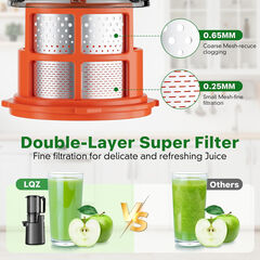 LQZ Cold Press Juicer, Masticating Juicer with 5.4" Wide Feed Chute, 350w Slow Juicer Machines Fit Whole Vegetables and Fruits with High Juice Yield, Easy to Clean (Black)