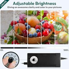 Professional Daguerre 32"x32" Light Box for Product Photography, Large Photo Studio with 3 Stepless Dimming Lights Panels, 210 LED Beads, and 6 Color Backdrops, Perfect Photo Booth Shooting Tent Kit