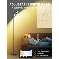 Banord Floor Lamp, Smart RGBW LED Torchiere Floor Lamp with Double Side Lighting, Works with Alexa, Color Changing Dimmable.