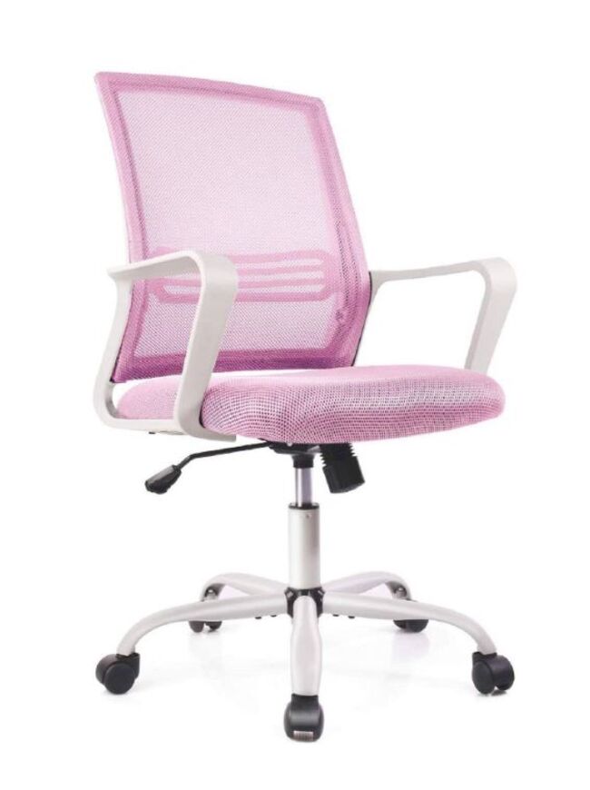 Ergonomic Mesh Office Chair with Lumbar Support Adjustable Mid Back