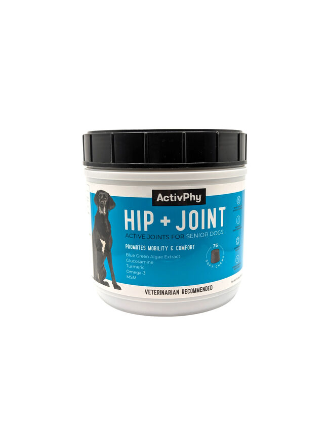 Activphy Hip + Joint Supplement for Senior Dogs, 75 Soft Chews