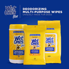 Wet Ones for Pets Deodorizing Multi-Purpose Dog Wipes With Baking Soda Dog Deodorizing Wipes For All Dogs in Tropical Splash Scent, Wet Ones Wipes for Deodorizing Dogs 50 Count (Pack of 12)