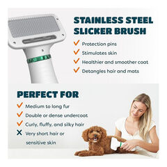 2-in-1 Dog Hair Dryer with Slicker Brush for Small-Sized Dogs and Cats | Pet Hair Dryer | Dog Blow Dryer | 300 Watts, 75-85 dB, Adjustable Temperature, Overheat Protection