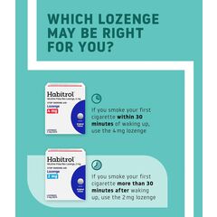 Habitrol Nicotine Lozenges 2 mg Original Flavor - 135 Count - Stop Smoking Aid - Reduce Cravings and Withdrawal Symptoms