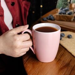 GBHOME 16 oz Large Porcelain Coffee Mugs Set of 6, Light Weight Ceramic Coffee Cups Set Dishwasher & Microwave Safe, Multi-Color